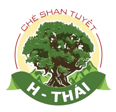 Hợp Tác Xã Sơn Trà